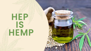 Hemp Seed Oil